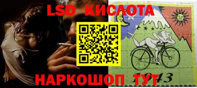 шишки Кандалакша