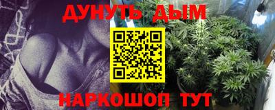 шишки Кандалакша