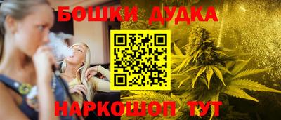 шишки Кандалакша