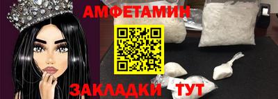 шишки Кандалакша