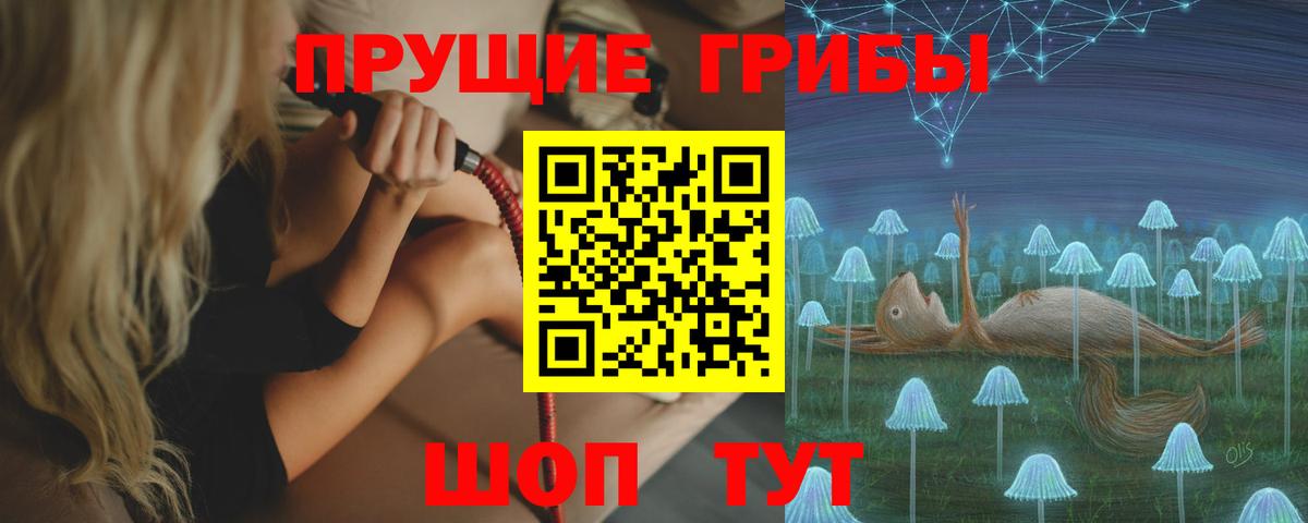 Галлюциногенные грибы GOLDEN TEACHER  Вход с VPN  Кушва  Галлюциногенные грибы GOLDEN TEACHER 