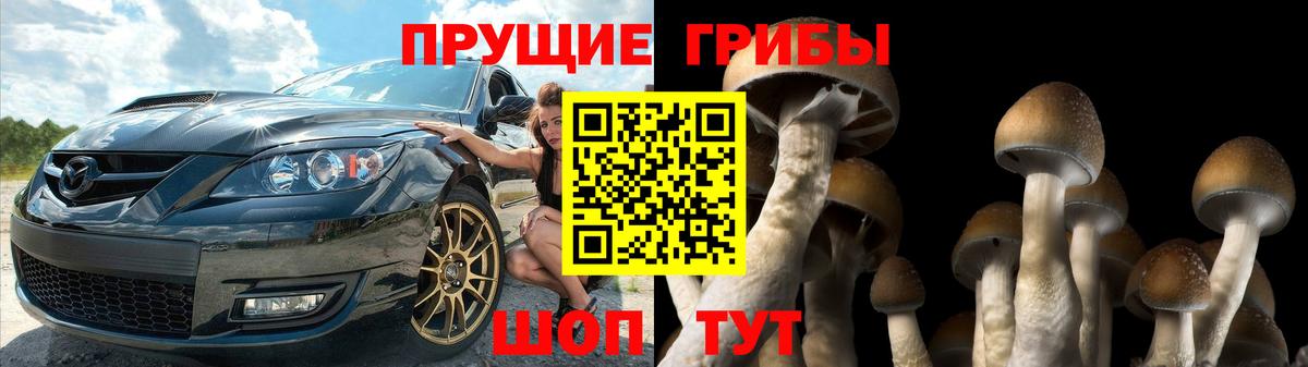 Псилоцибиновые грибы Psilocybine cubensis Кушва