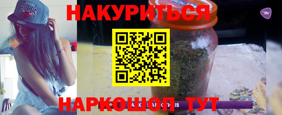 Конопля сатива Кушва